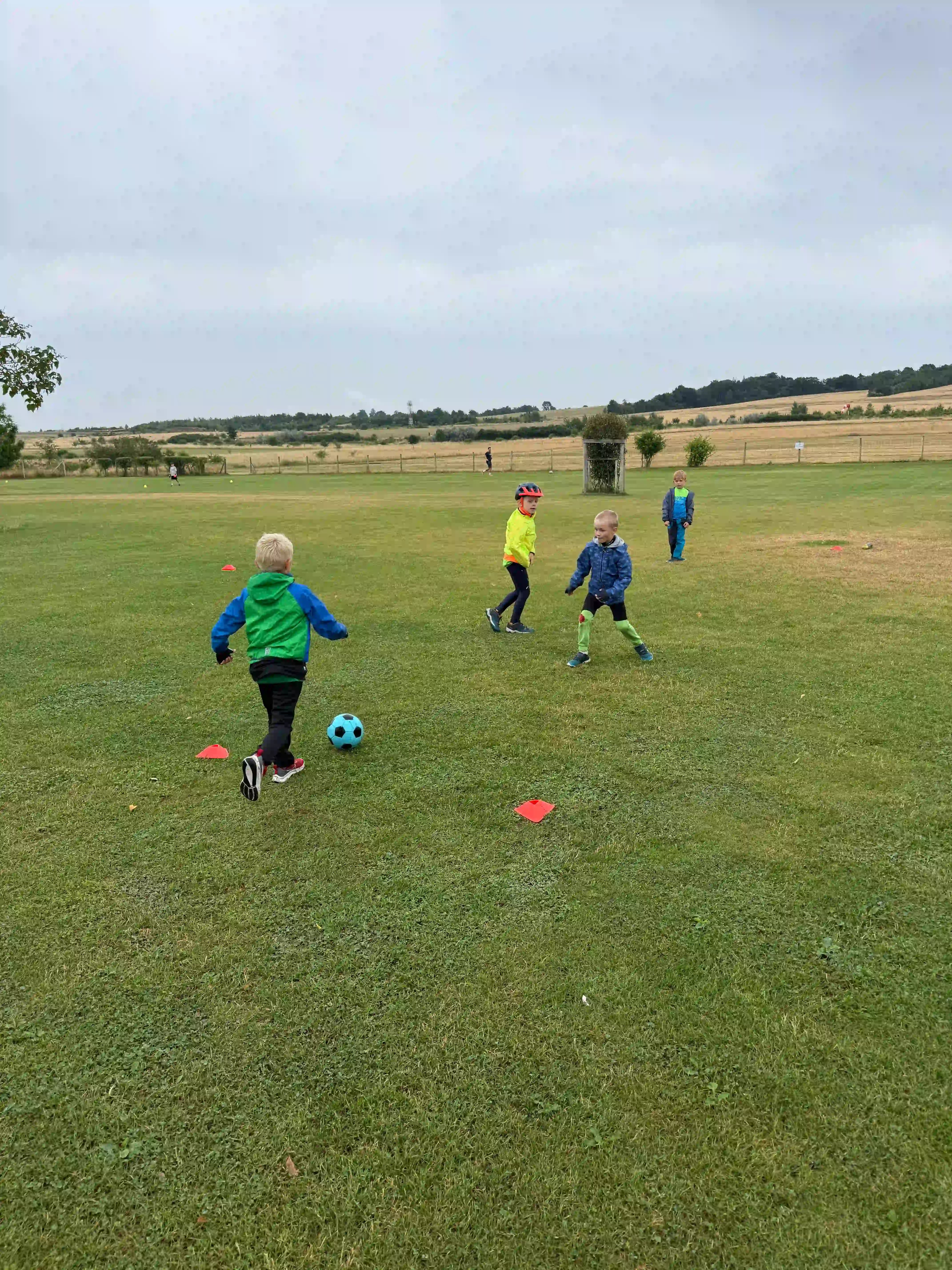 Děti hrají fotbal na hezké louce.